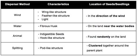 Mastering The 4 Seed Dispersal Methods In 4 Minutes - Primary School ...