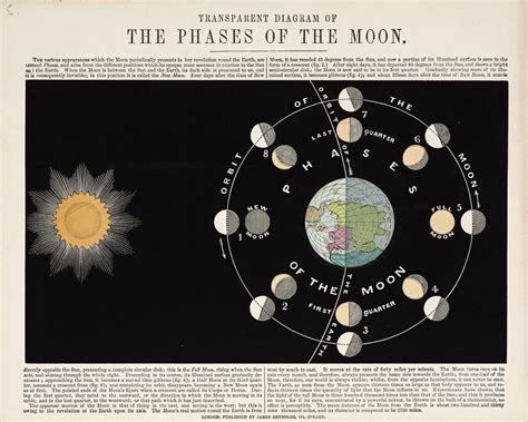 Transparent Diagram of The Phases of the Moon. 1860. | Moon phases ...