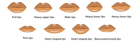 Heavy Lips Chart | Lipstutorial.org