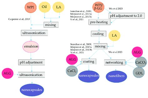 Steps to encapsulate lipophilic antioxidants into alginate-whey protein ...