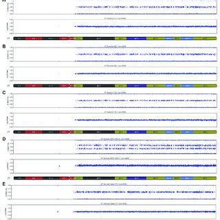 SNP-array analysis on placenta and fetal tissues of Case 1. (A ...