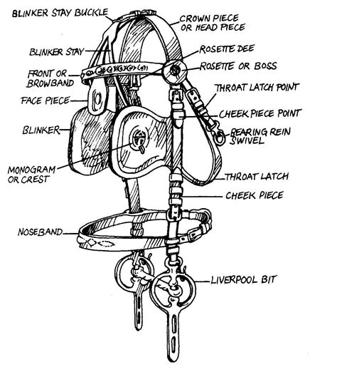 The Bridle Horse Wagon, Horse Gear, Horse Info, Horse Tips, Percheron ...