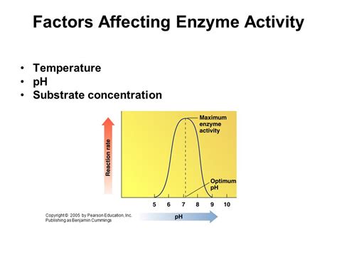 🎉 Discuss factors that affect enzyme activity. Discuss the factors ...