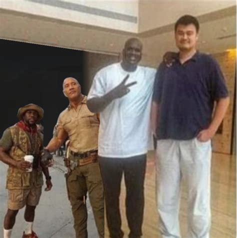 Height difference between Kevin Hart-Rock-Shaq-Yao Ming (photoshopped ...