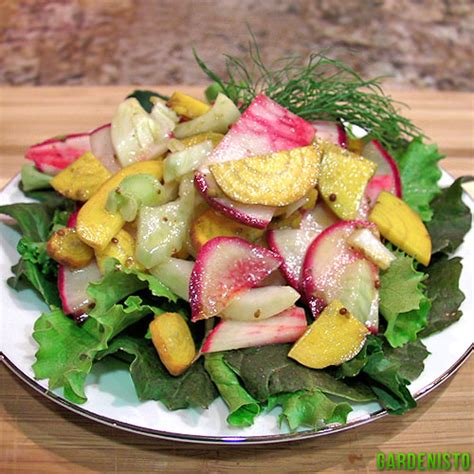 Yellow Beet and Turnip Salad - Gardenisto