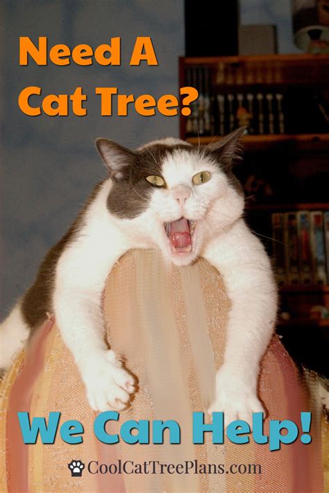 Cat Tower | Cool cat trees, Cat tree plans, Cats