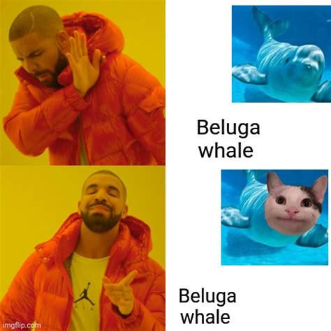 Beluga whale!? More like Beluga whale lol - Imgflip