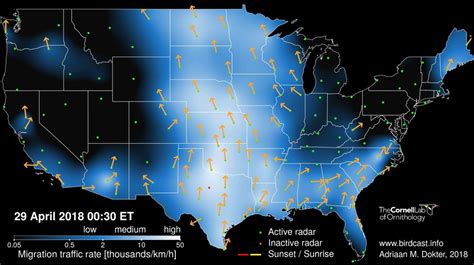 A primer for using weather surveillance radar to study bird migration ...