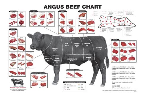 Beef Chart Printable