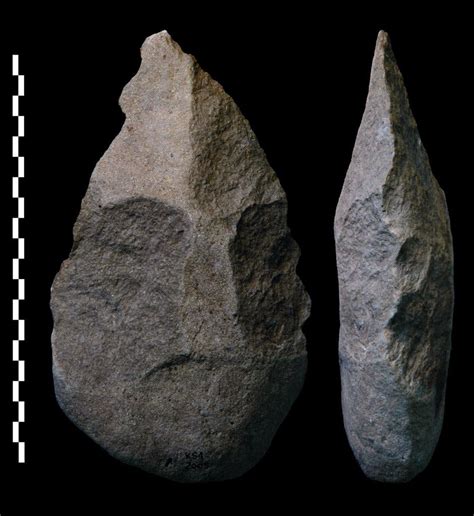 Earliest Homo Erectus Tools Found in Kenya - The New York Times