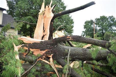 100-foot tree struck by lightning highlights storm damage in county ...