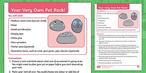 Pet Rock Craft Instructions (Teacher-Made) - Twinkl