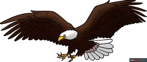 Easy Bald Eagle Flying Drawing