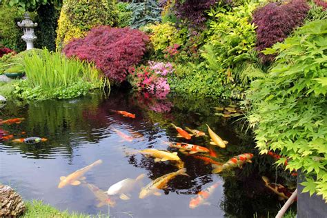 24 Stunning Koi Pond Ideas