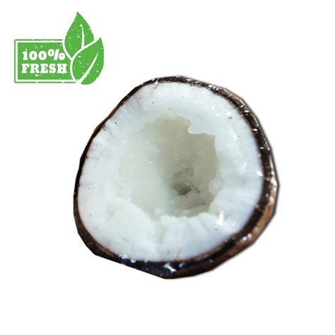 Jual BUAH KELAPA KOPYOR (1 butir) | Shopee Indonesia