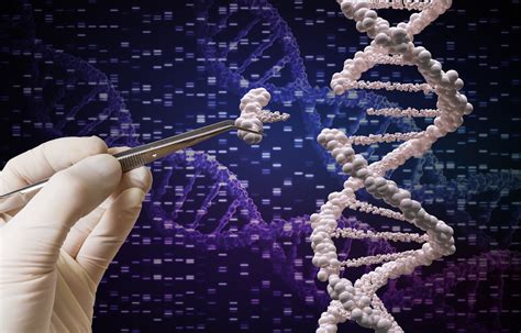 Scientists warn of the harmful effects of CRISPR gene editing - Earth.com