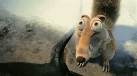 Ice Age Scrat GIF - IceAge Scrat Surprised - Discover & Share GIFs