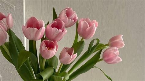 💖🌱🌷 Pink Tulips in a Vase