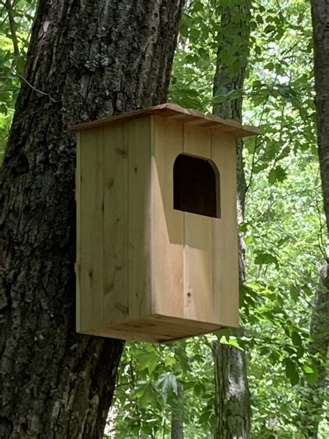 Barred Owl Nest Box Plans: How to Build a Barred Owl House - FeltMagnet