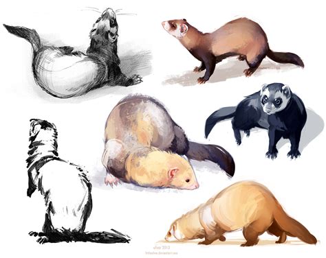 ferretdump by littleulvar.deviantart.com on @deviantART | Animal art ...