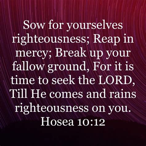 Hosea 10:12 Sow for yourselves righteousness; Reap in mercy; Break up ...