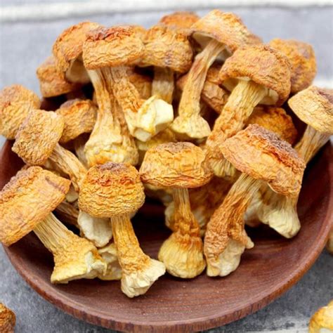 Premium Grade Dried Agaricus Blazei Mushrooms (1LB) – New Green Nutrition