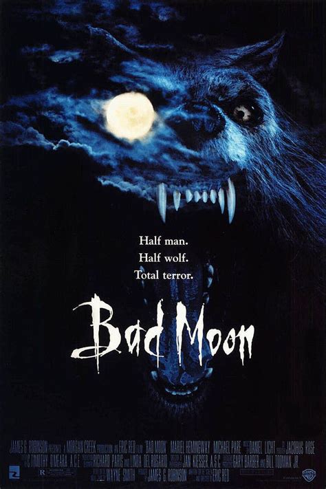 15 Awesome Werewolf Movies Sure to Make You Howl | Scary movies, Movie ...