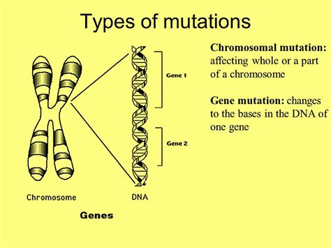 Seven Days per Week: SPM Biology 15 Variation (Part 2)