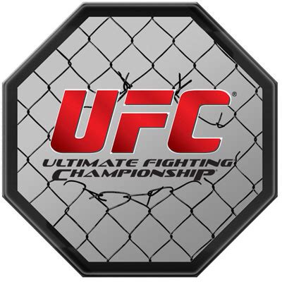 UFC Logo Octagon Wall Bar Mirror