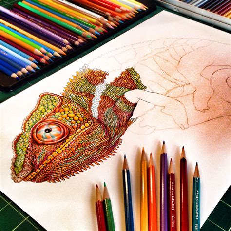 Tim Jeffs Draws Incredibly Detailed Lizards Using Pencil Crayons ...