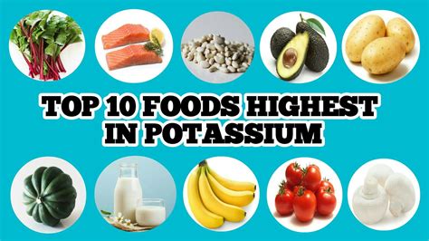 TOP 10 FOODS HIGHEST IN POTASSIUM - YouTube