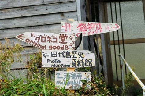 Tashirojima: A Guide to Visiting Japan's Most Famous Cat Island | Japan ...