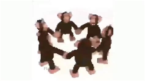 Happy Monkey Circle (meme) 10min long - YouTube