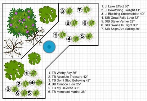 Iris garden design in the Irises forum - Garden.org