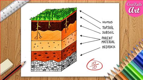 How to draw Layers of Soil diagram drawing || Soil profile poster chart ...