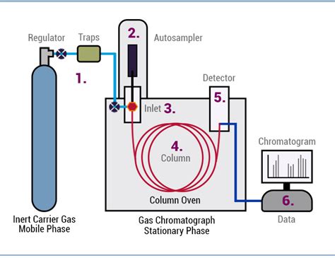 Gas Chromatography Instrumentation Diagram