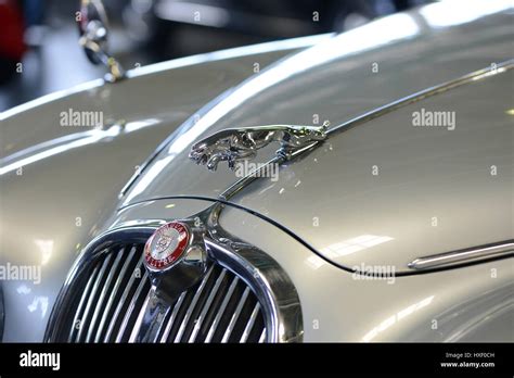 Jaguar car logo Stock Photo - Alamy