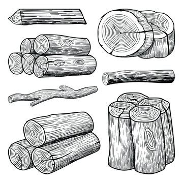 Tree Log Drawing