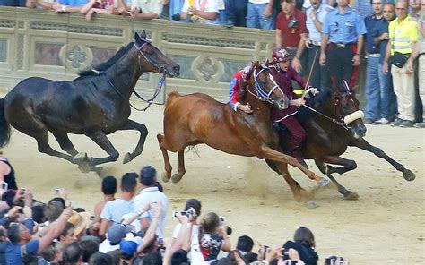 Il Palio: the world's wildest horse race | Horses, Siena, Siena italy