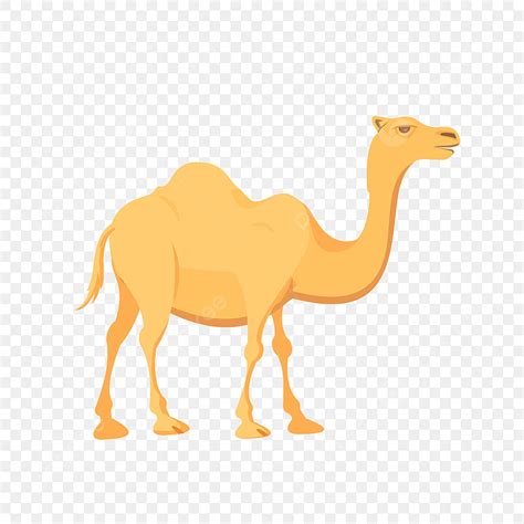 Camel Vector PNG, Vector, PSD, and Clipart With Transparent Background ...