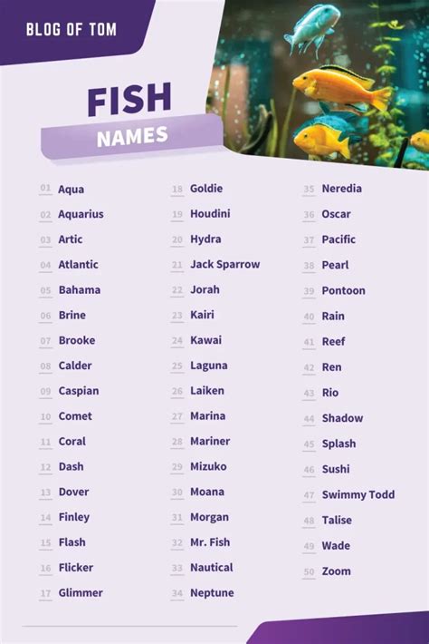 Fish Names (Cute, Cool & Funny Ideas For Males & Females)