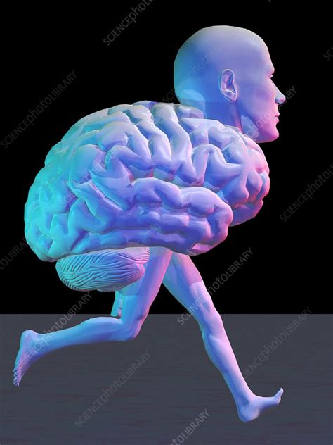 Running brain, conceptual artwork - Stock Image - P325/0183 - Science ...