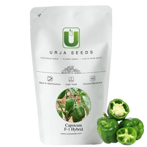 Capsicum Seeds F-1 Hybrid Discover – Urja Seeds