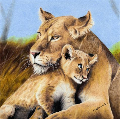 Colored pencil drawing: Lioness and Lion Cub by JasminaSusak on DeviantArt