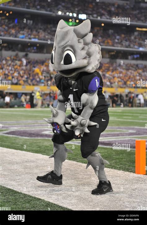 Aug. 31,2013:.TCU Horned Frog mascot in action.in a NCAA football Stock ...