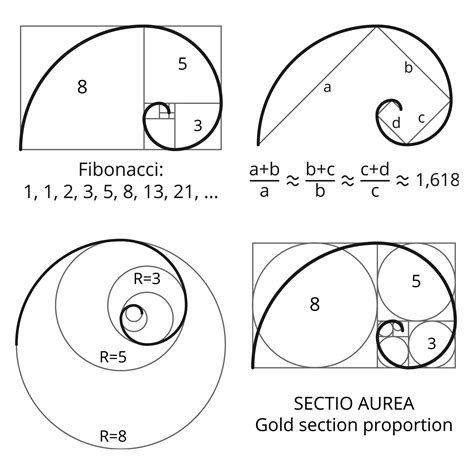 Golden Spiral Symbol