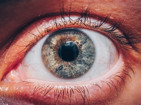 Close Up of Human Eye · Free Stock Photo