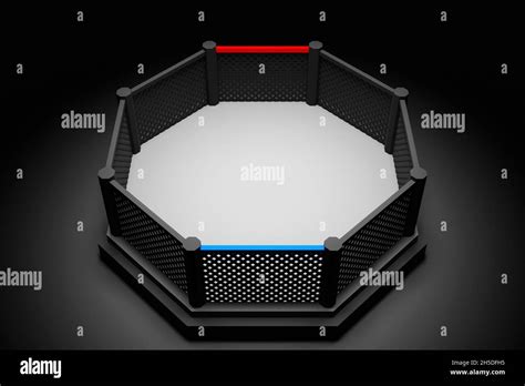 Ufc Octagon Size