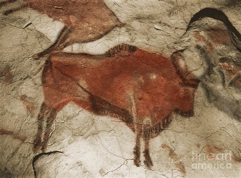 Altamira Cave Paintings #4 Photograph by Photo Researchers - Fine Art ...