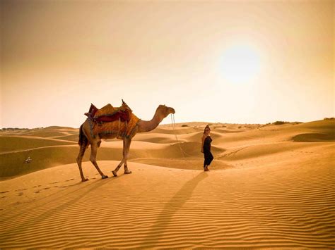 Camel Safari In Jaisalmer - 8 Important Tips To Have A Great Time!